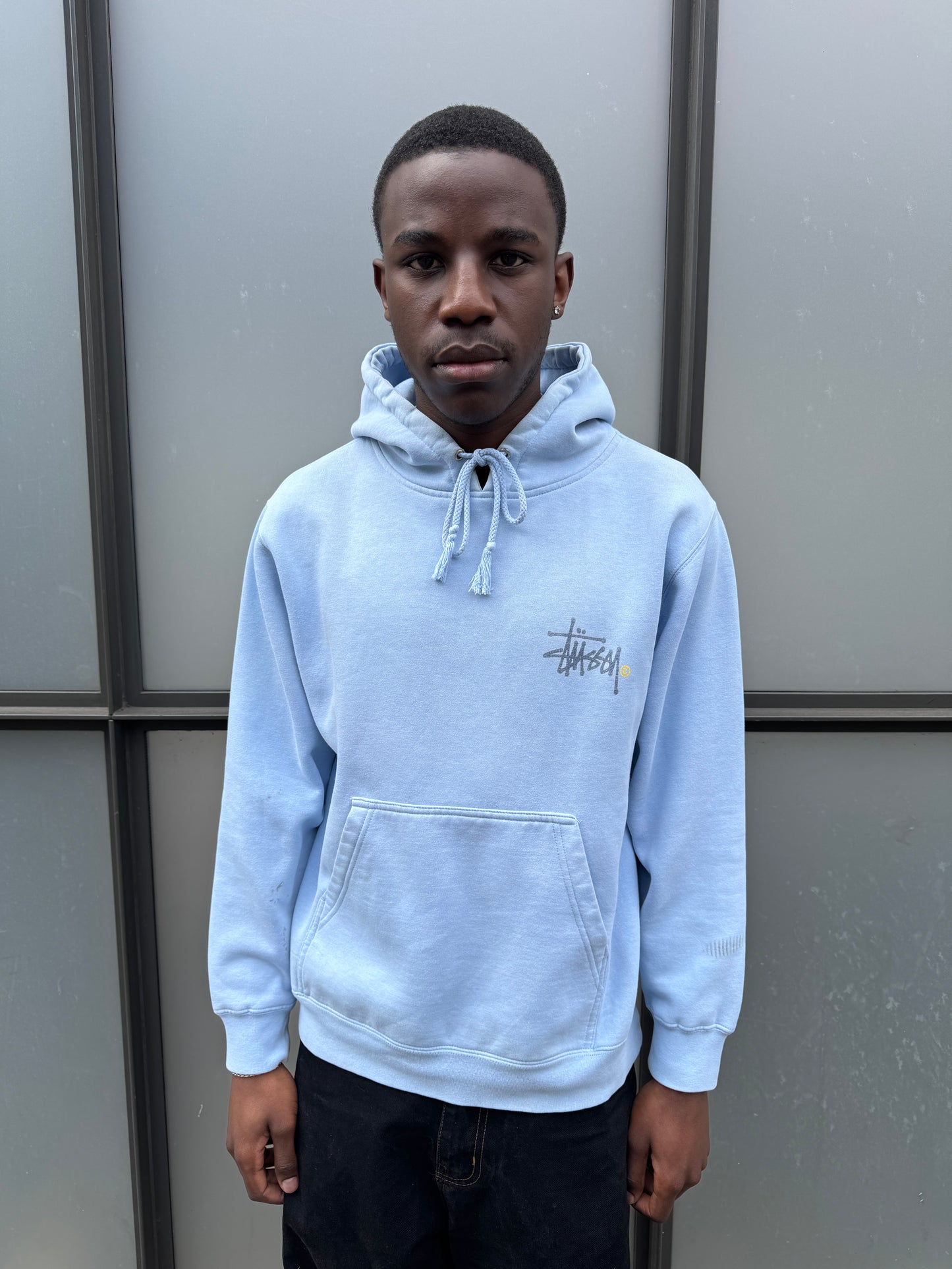 Early 2000's Stüssy Spellout Baby Blue Hoodie