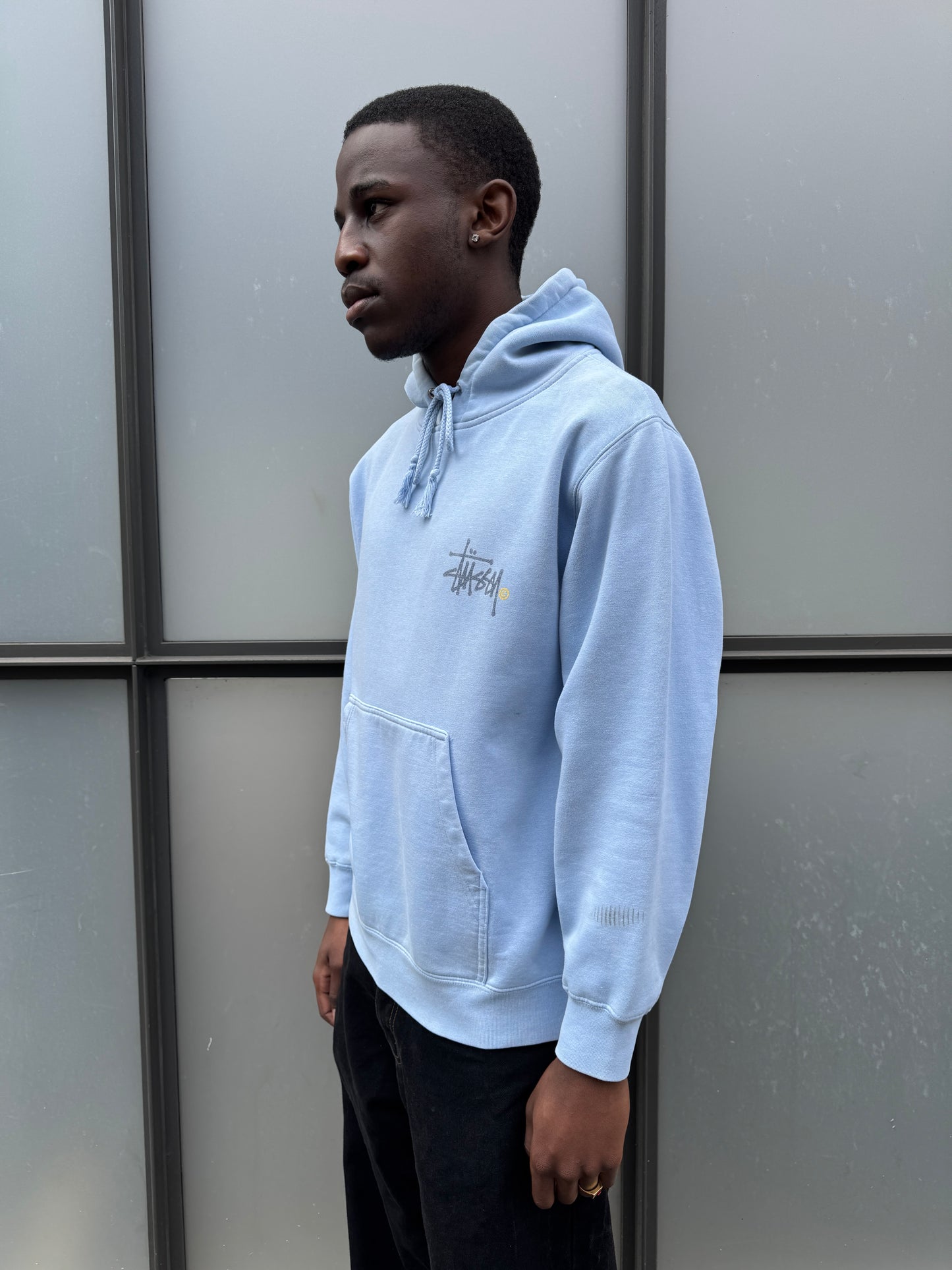 Early 2000's Stüssy Spellout Baby Blue Hoodie