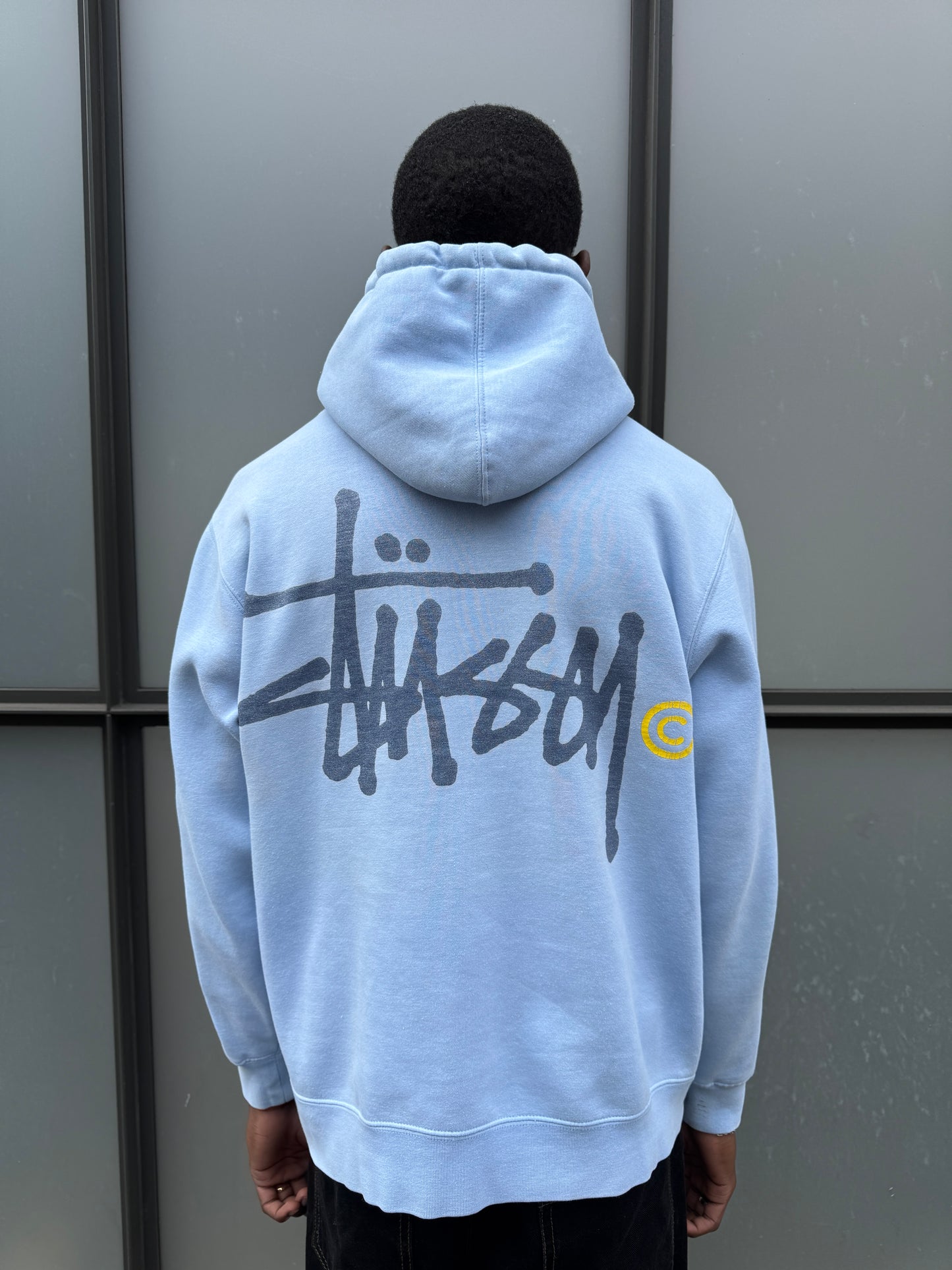 Early 2000's Stüssy Spellout Baby Blue Hoodie