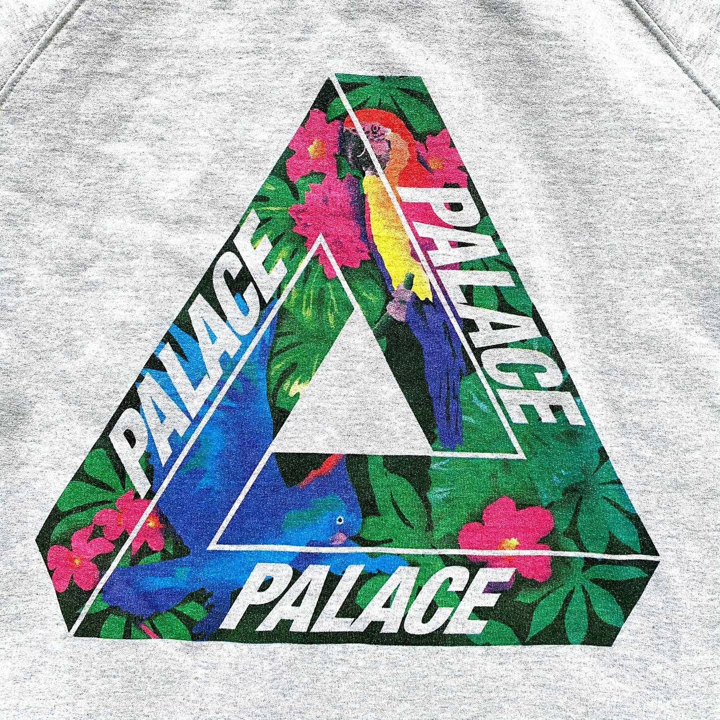 Sweat à capuche Palace Skateboards Wild Parrot Tri-Ferg - Extra Large