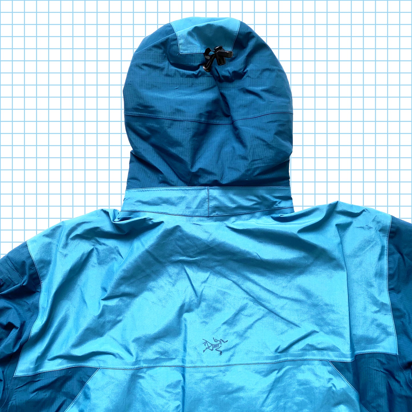 Arc'teryx Side Winder Gore-Tex Shell SS08' - Grand / Extra Grand
