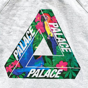 Palace Skateboards Wild Parrot Tri-Ferg Hoodie - Extra Large